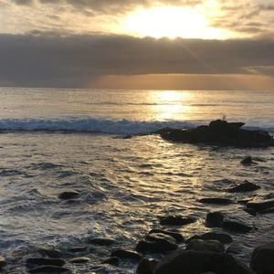 Meet your Posher, Richard